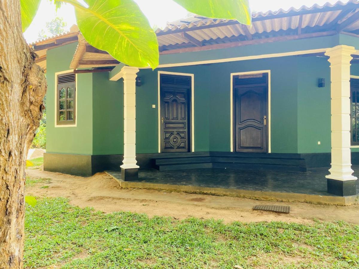 Sigiri Siesta Homestay Sigirîya Extérieur photo