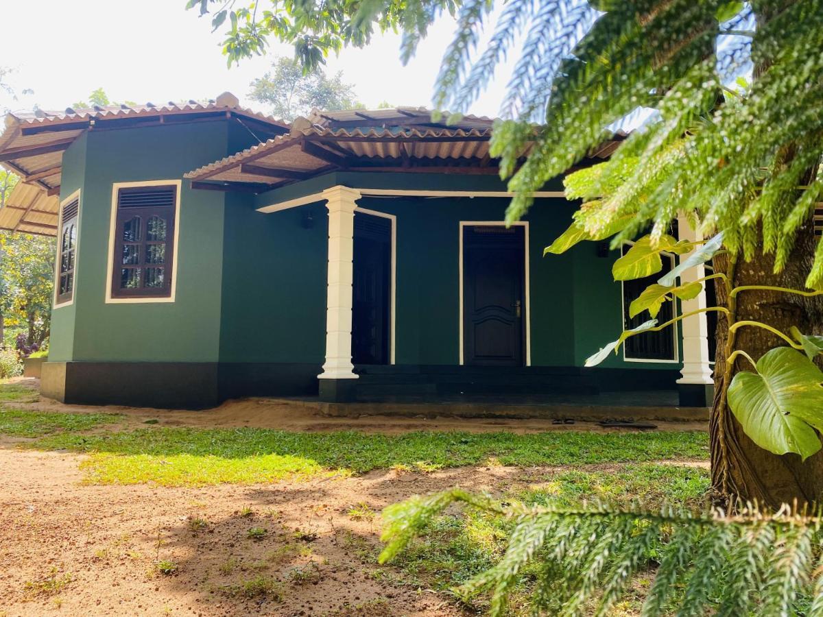 Sigiri Siesta Homestay Sigirîya Extérieur photo